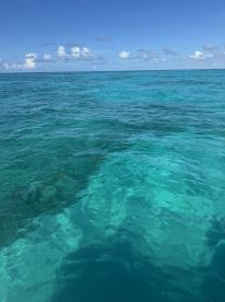 A view of clear turquoise waters under a bright sky, but the image lacks clarity and identifiable features.