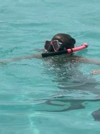 A snorkeler enjoys exploring the vibrant underwater world in crystal-clear waters, showcasing the excitement of marine adventures.