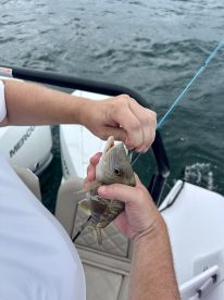 A fisherman proudly holds up his catch aboard a boat, showcasing the thrill of fishing on the water.