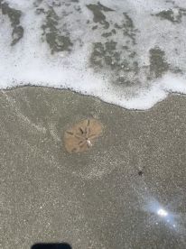 Great adventure to Morris Island Lighthouse