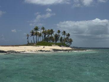 A picturesque view of a secluded island with palm trees and sandy beach, perfect for a relaxing getaway or island hopping adventure.