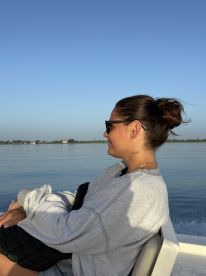 Dolphins everywhere!