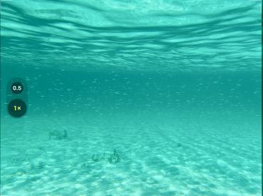 An underwater scene showcasing clear turquoise waters, but lacks identifiable subjects or clarity.