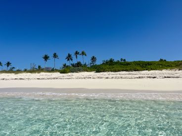 A serene view of a pristine beach with clear turquoise waters and palm trees swaying under a bright blue sky, perfect for a tropical getaway.