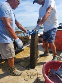 Perfect late afternoon