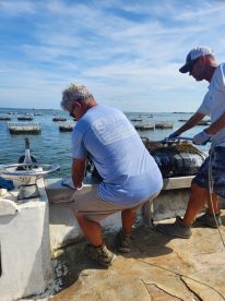 Perfect late afternoon