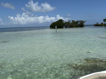 A serene view of clear waters and lush mangroves, showcasing the natural beauty of the coastline — perfect for eco tours or relaxing boat trips.
