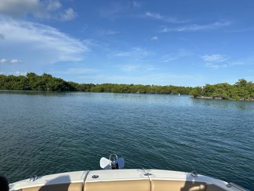 A serene view from the bow of a boat navigating through tranquil waters surrounded by lush mangroves, perfect for exploring nature.
