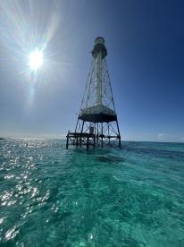 A lighthouse stands tall over clear turquoise waters, capturing a serene coastal scene under bright sunlight.