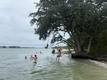 A lively group enjoys a fun day at the beach, swinging from a tree and swimming in the water, with a boat anchored nearby — perfect for summer adventures.