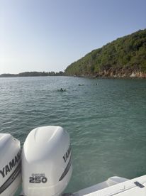 A group enjoys a refreshing swim in calm waters, with lush greenery in the background — a perfect setting for water activities and relaxation.