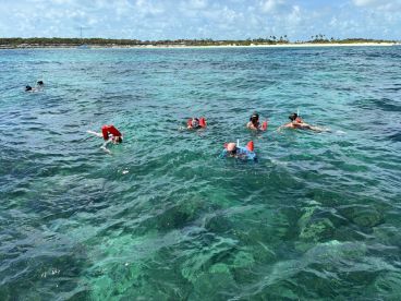 A group of snorkelers enjoys exploring the vibrant underwater world in crystal-clear waters, perfect for marine adventures and family outings.
