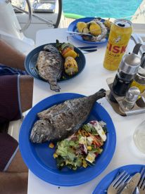 A delicious spread featuring grilled fish, fresh salad, and drinks served on a boat — perfect for enjoying meals while cruising the waters.