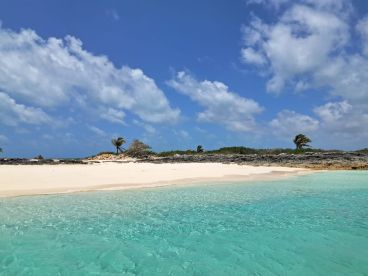 A stunning view of a secluded beach with crystal-clear waters and lush greenery, perfect for island hopping adventures or relaxing getaways.