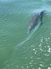 We had a blast and can\u2019t wait to go back out with Chris again.