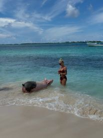 A woman interacts with a swimming pig in the shallow waters, showcasing a unique wildlife experience in the Bahamas.