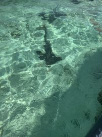 Bradley\u2019s Fishing Tours Was the absolute best 