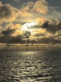 Dolphin Sunset cruise 