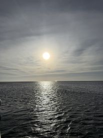 A stunning sunset over the ocean, reflecting on the water's surface — a perfect backdrop for serene boating experiences.