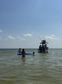 Absolutely Awesome!!