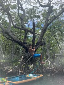 A young boy enjoys swinging from a tree in the mangroves while a paddleboard floats nearby, capturing the essence of adventure and fun in nature.