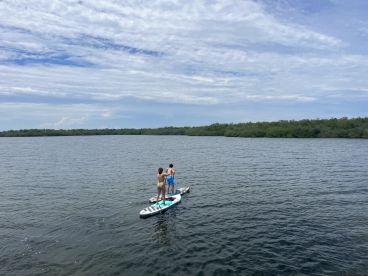 A couple enjoys paddleboarding on calm waters, surrounded by lush mangroves — a perfect day for water activities and exploration.