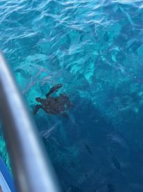 Everything was perfect!!!