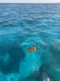 Everything was perfect!!!