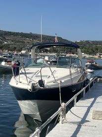 A very special experience 