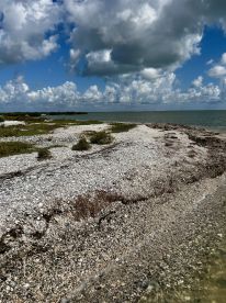 A picturesque view of a coastline with lush greenery and a clear sky, perfect for showcasing the natural beauty of the area.