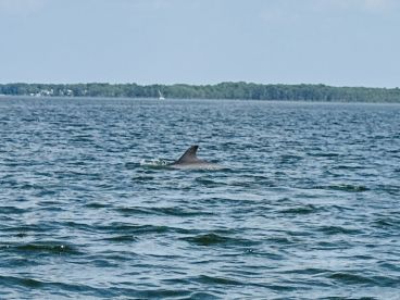 Just what we wanted! Perfect cruise on the ocean!
