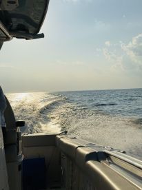 Just what we wanted! Perfect cruise on the ocean!