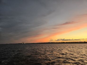 They fit right in with all the ladies!