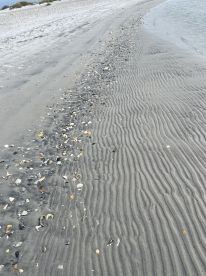 Excellent Experience 