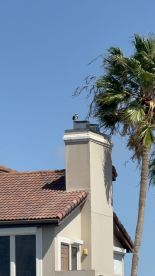 A bird perches atop a chimney against a clear blue sky, showcasing the beauty of wildlife in urban settings.
