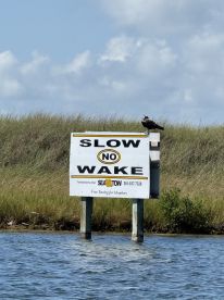 A 'Slow No Wake' sign stands by the water with a bird perched on top, emphasizing safe boating practices in the area.