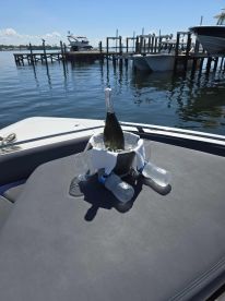 Get the Boston Whaler!