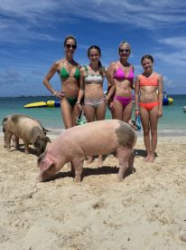 A group of women and girls enjoy a unique experience with friendly pigs on the beach, showcasing a fun interaction with wildlife in a tropical setting.
