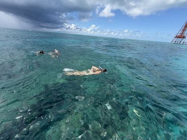 A group enjoys snorkeling in crystal-clear waters, showcasing the vibrant marine life and stunning underwater scenery — an unforgettable adventure on the water.