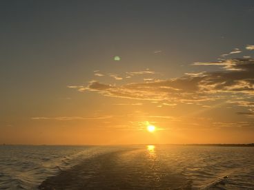 Relaxing, beautiful sunset 