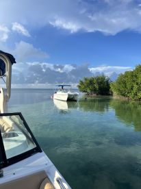 A scenic view of a boat navigating through calm waters near mangroves, with a person on board enjoying the tranquil surroundings.