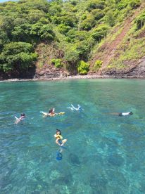 A group of snorkelers enjoys the vibrant underwater scenery in clear waters, showcasing a fun day of exploration and adventure.