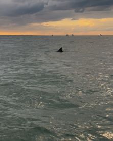 Beyond our expectations 