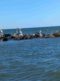 Great People and Tour!