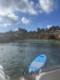 A lovely morning trip 