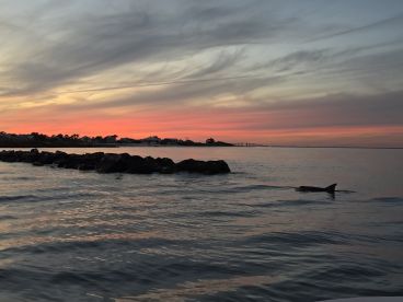 Great Views All Around