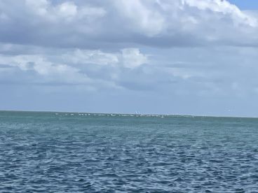 A distant view of the water with clouds overhead; the image lacks clarity and detail.