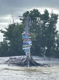 A striking landmark featuring a weathered tree with colorful directional signs, set against a backdrop of lush greenery and cloudy skies — a unique sight for boaters exploring the area.
