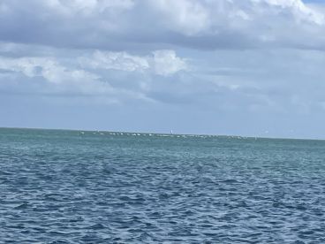 A distant view of a shoreline with unclear details, possibly featuring birds or other elements, but lacks clarity and focus.