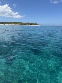 A stunning view of a tropical island coastline with crystal-clear waters, perfect for showcasing the beauty of a boating adventure.